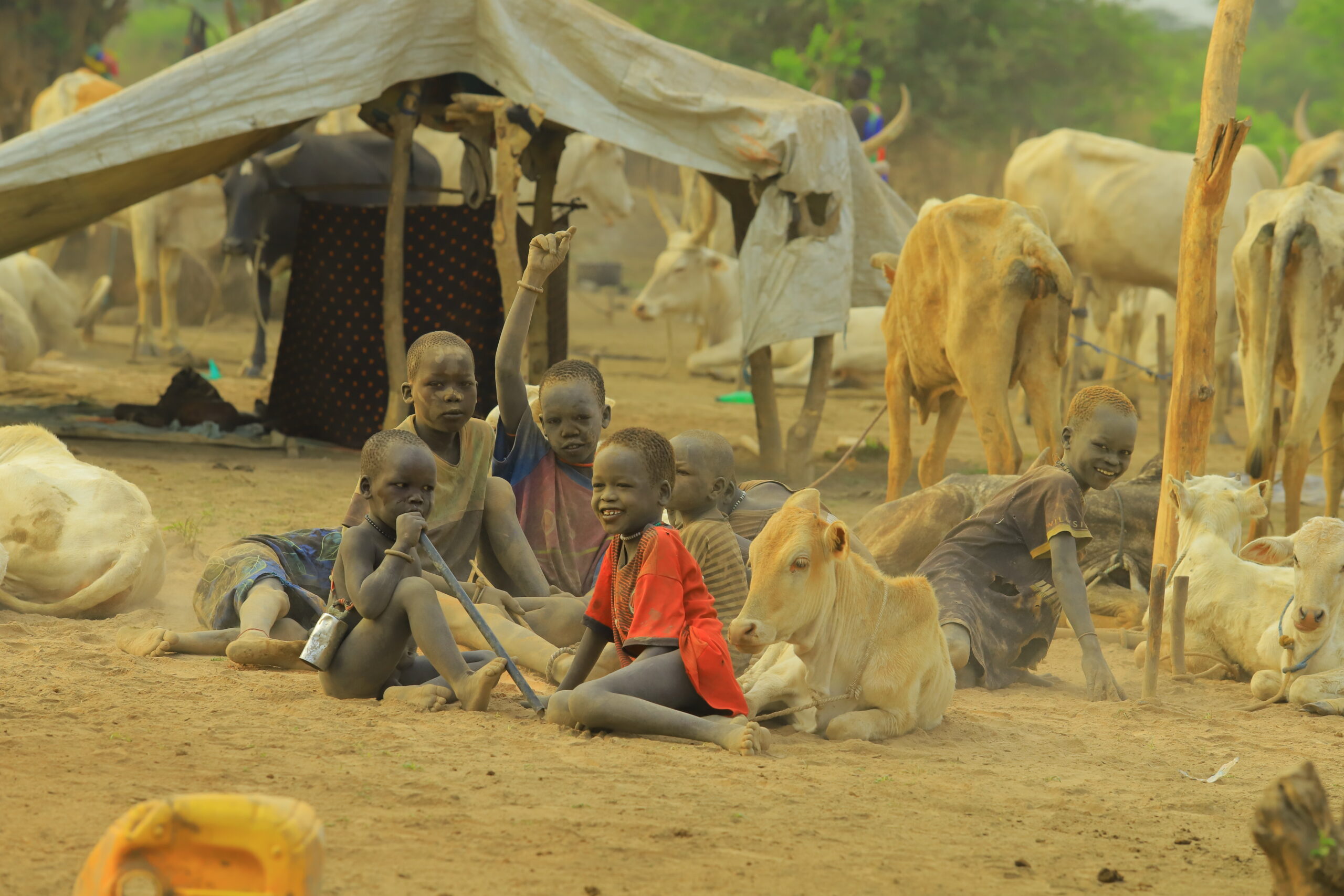 3 DAYS CULTURAL TOUR ITINERARY TO SOUTH SUDAN IN THE MUNDARI CATTLE CAMPS